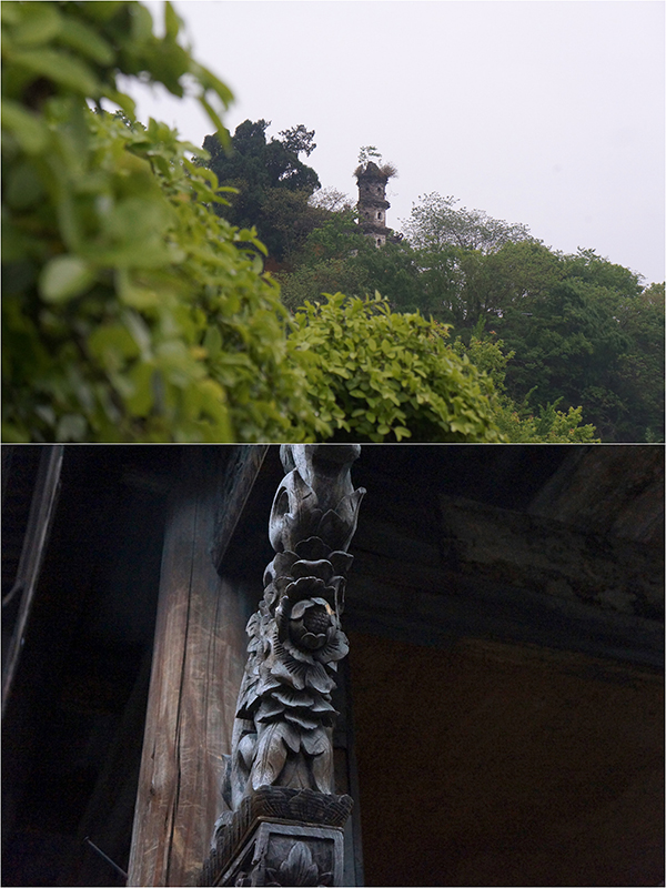 临海风物：蔺草团扇和乌饭麻糍