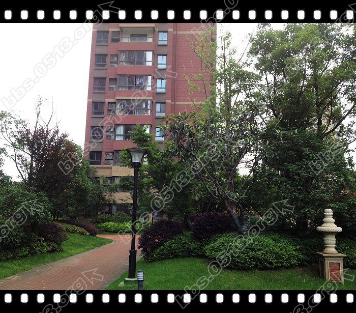 小区环境 (3).jpg