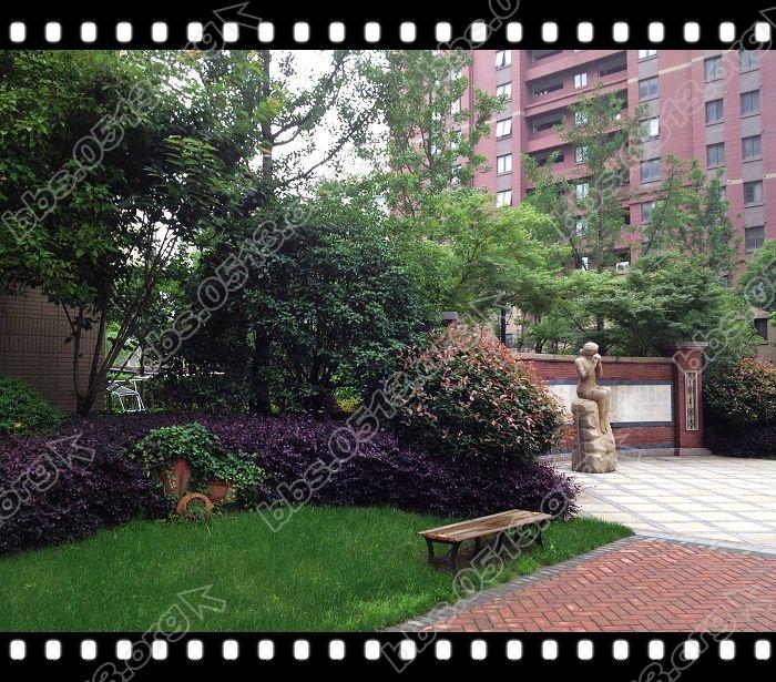 小区环境 (4).jpg