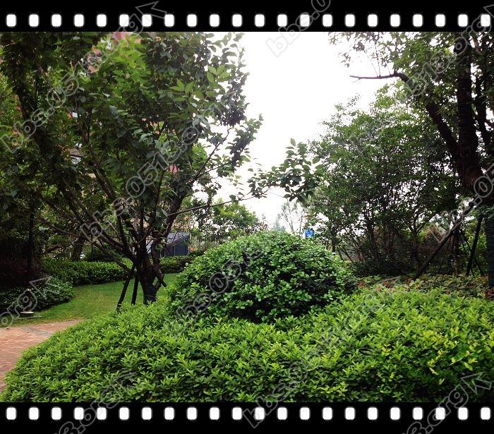 小区环境 (7).jpg