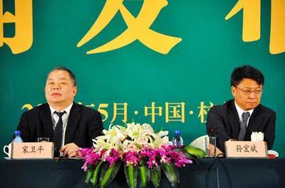 “资产猎人”孙宏斌：他从未想成为一名真正的白武士