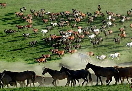 从海洋视角到内陆视角：不能把西北“边疆化”