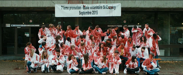 睡不着｜《生吃》：“夜间”的法律