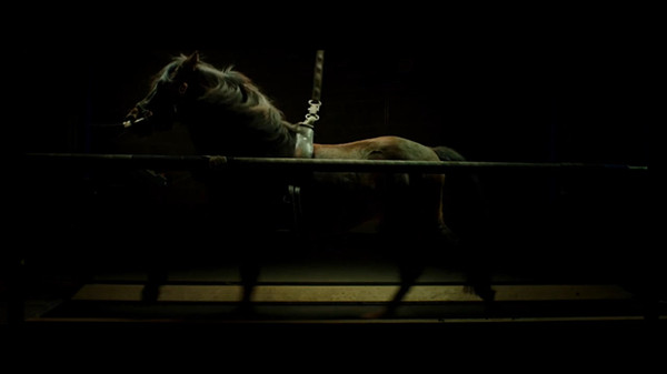 睡不着｜《生吃》：“夜间”的法律