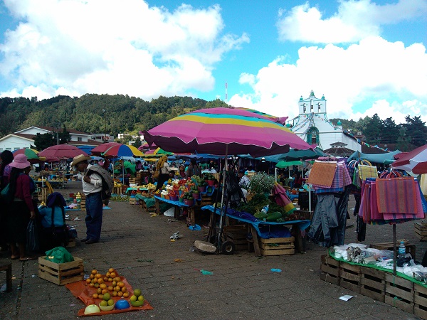 墨西哥考察记：在田野中被打劫是一种怎样的体验？