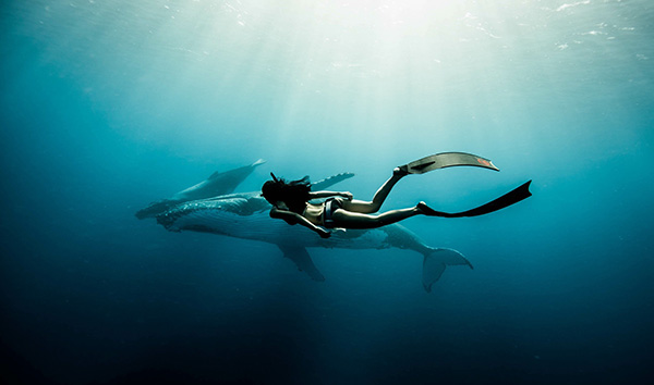 在世界海洋日，随7位自由潜水大咖走进奇幻海底