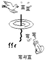 恢复高考40年来，政治题都考过些什么？