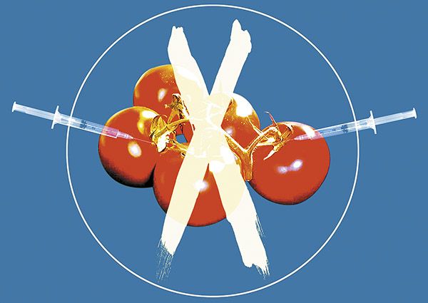 转基因争议中的伪命题和真命题