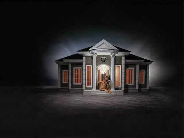 趣看｜世界最贵“豪宅”，汪宠专属福利