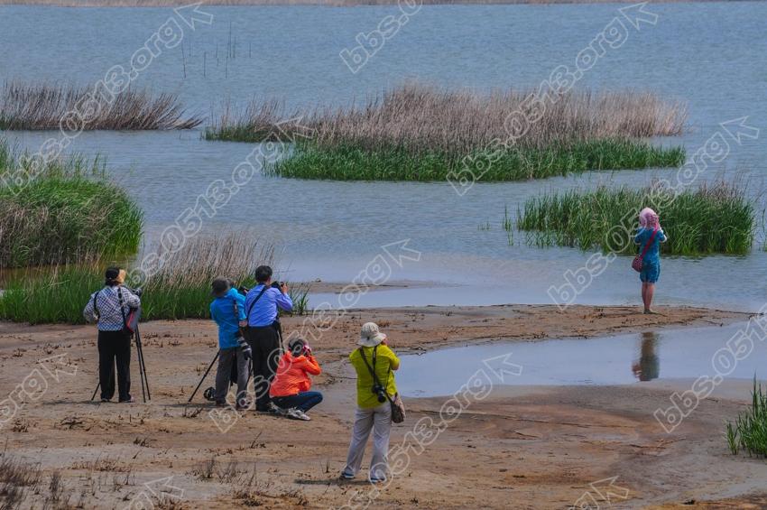 江苏如东  全国摄影展聚焦大豫镇 (1).jpg