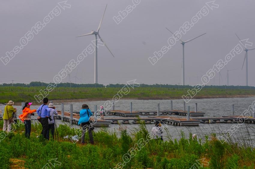 江苏如东  全国摄影展聚焦大豫镇 (2).jpg