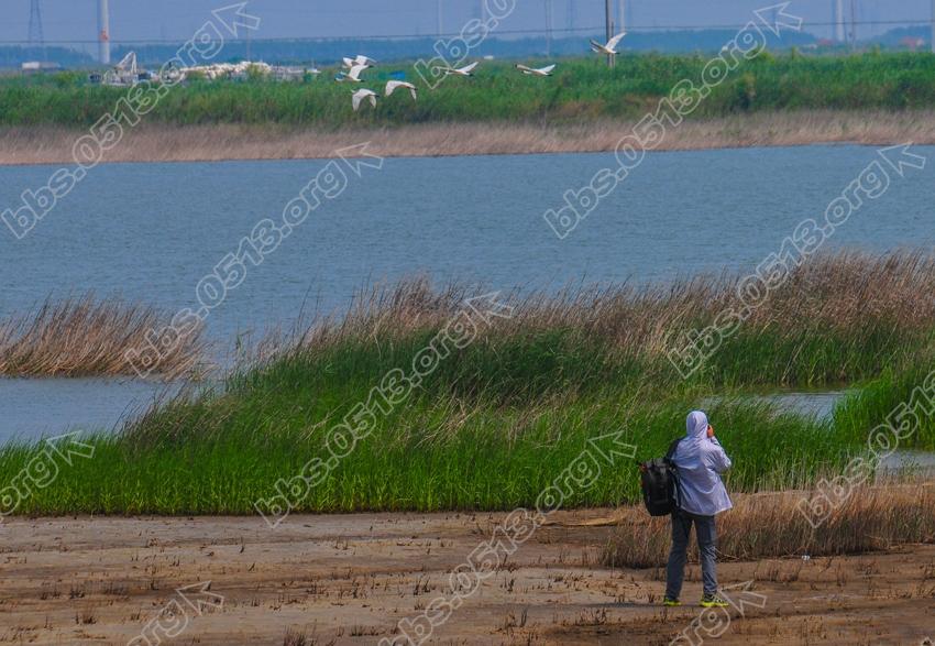 江苏如东  全国摄影展聚焦大豫镇 (3).jpg