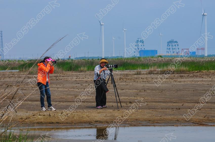 江苏如东  全国摄影展聚焦大豫镇 (4).jpg