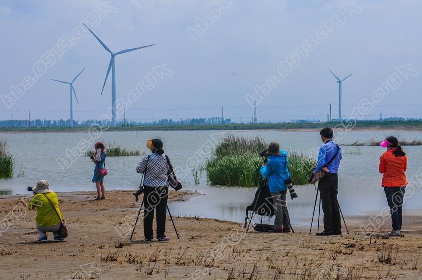 江苏如东  全国摄影展聚焦大豫镇 (5).jpg
