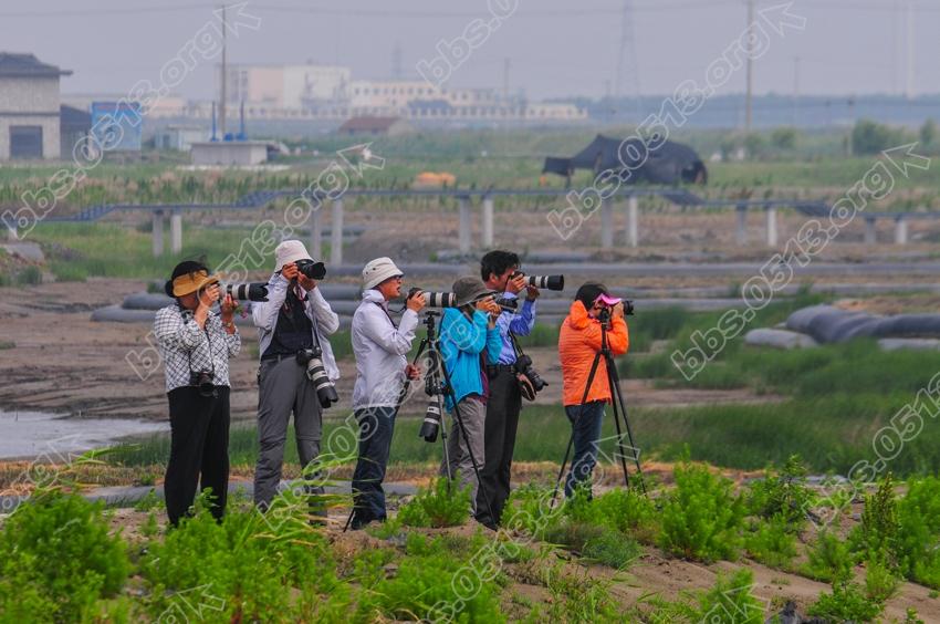 江苏如东  全国摄影展聚焦大豫镇 (7).jpg