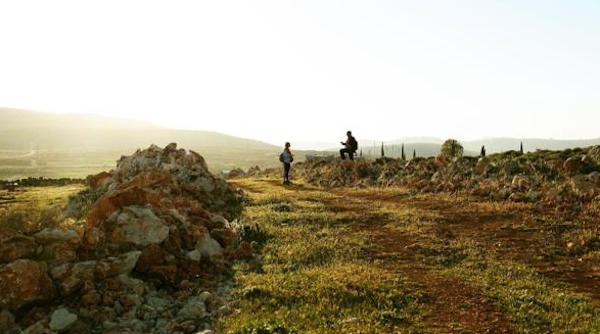 古道穿过巴勒斯坦