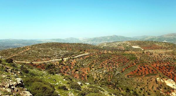 古道穿过巴勒斯坦