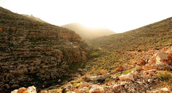 古道穿过巴勒斯坦