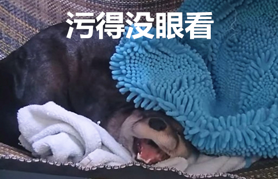 澎湃联播｜谁在我的婚礼上搞事，我就和他拼命