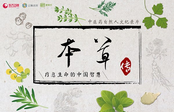 上海电视节｜多部纪录片将登陆卫视黄金档，与综艺正面PK