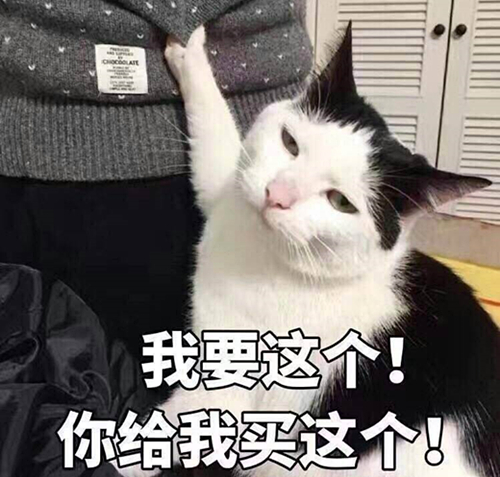 澎湃联播｜新华字典APP每天免费查两字，查完仅需18年