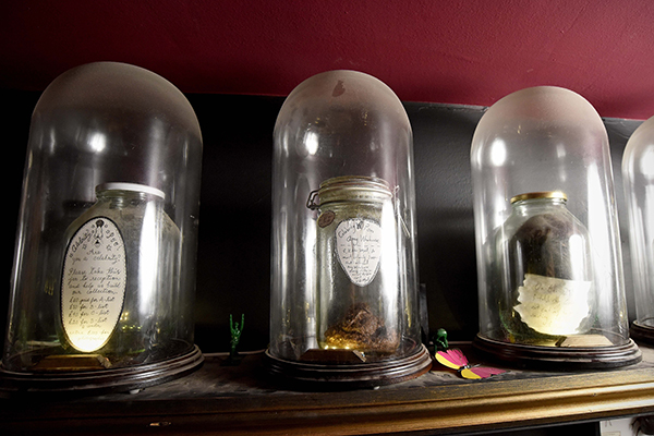 趣看｜猎奇博物馆：名人“弃物”，一丝诡异的味道