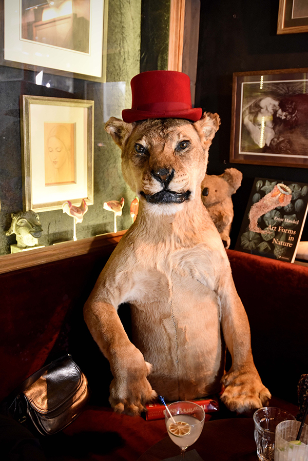 趣看｜猎奇博物馆：名人“弃物”，一丝诡异的味道