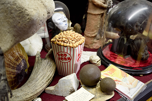 趣看｜猎奇博物馆：名人“弃物”，一丝诡异的味道