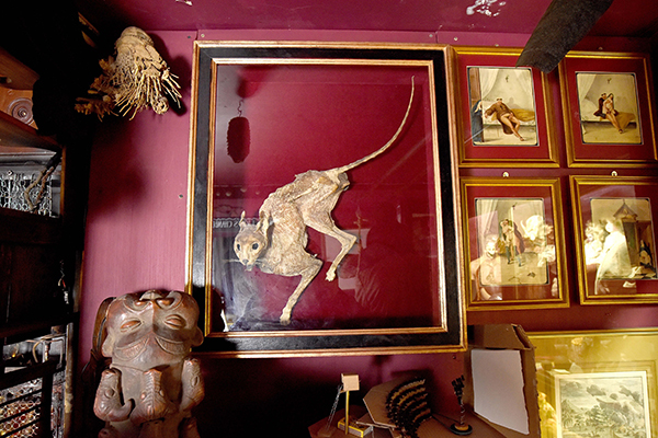 趣看｜猎奇博物馆：名人“弃物”，一丝诡异的味道