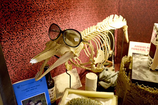 趣看｜猎奇博物馆：名人“弃物”，一丝诡异的味道