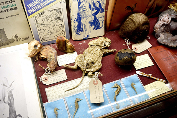 趣看｜猎奇博物馆：名人“弃物”，一丝诡异的味道