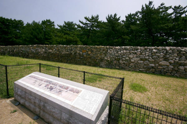 从远交近攻到全军覆没：元朝东征日本始末