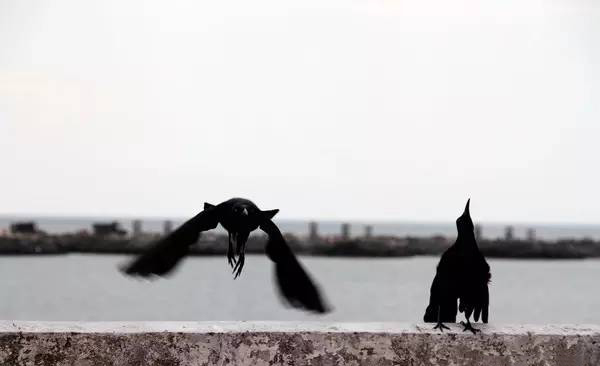 与中国新建交的巴拿马，会是下一个旅游爆款吗？