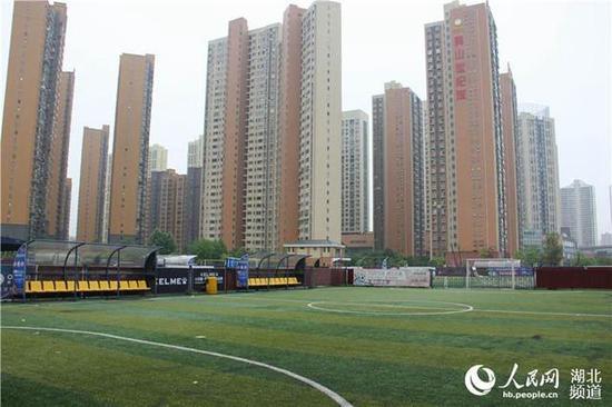 男子花千万将垃圾场改造足球场，城管：私占绿地，依法拆除