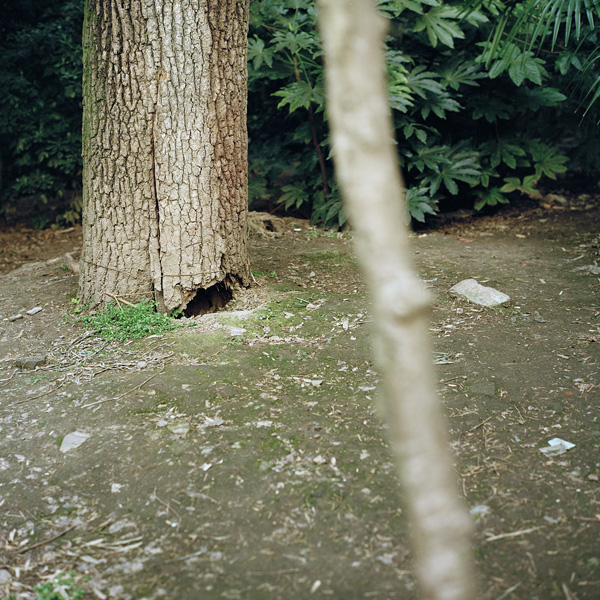 看展览｜逛公园时我只比别人多带了一台相机