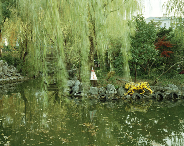 看展览｜逛公园时我只比别人多带了一台相机