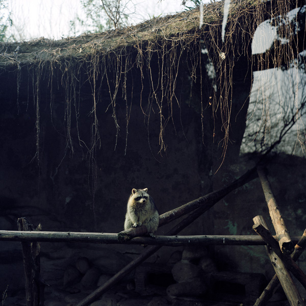 看展览｜逛公园时我只比别人多带了一台相机