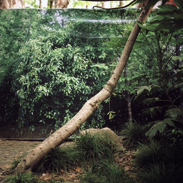 看展览｜逛公园时我只比别人多带了一台相机