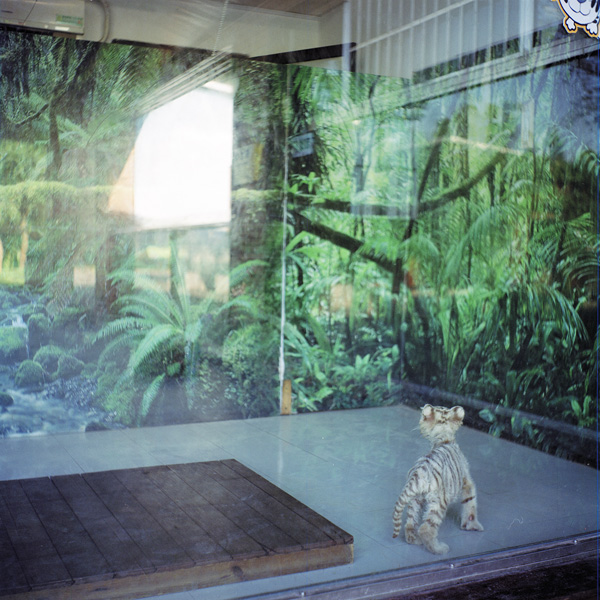 看展览｜逛公园时我只比别人多带了一台相机