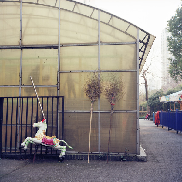 看展览｜逛公园时我只比别人多带了一台相机