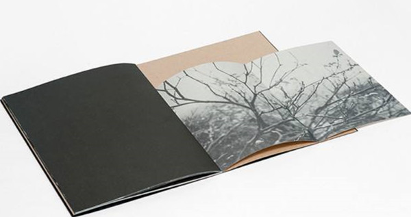 装帧设计精致化之惑：纸质书籍将变成收藏品吗？