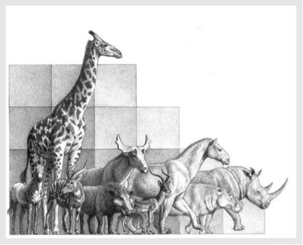 古生物复原图《昔日巨兽》，是这么画出来的