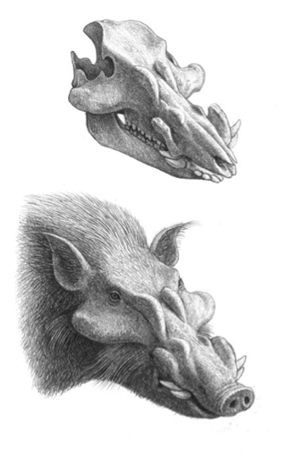 古生物复原图《昔日巨兽》，是这么画出来的