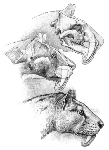 古生物复原图《昔日巨兽》，是这么画出来的