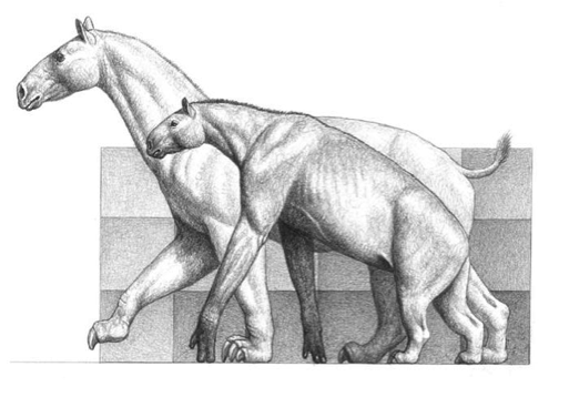 古生物复原图《昔日巨兽》，是这么画出来的