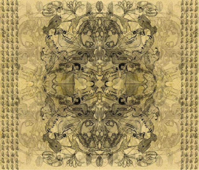 古生物复原图《昔日巨兽》，是这么画出来的