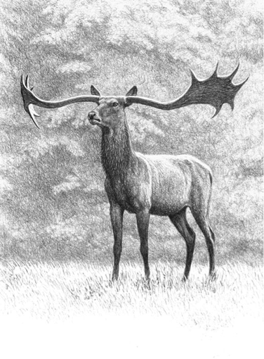 古生物复原图《昔日巨兽》，是这么画出来的