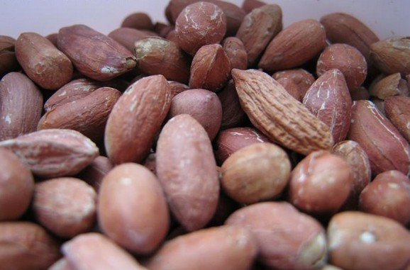 黄磊老师看过来！大作家们写过这些“深夜食堂”