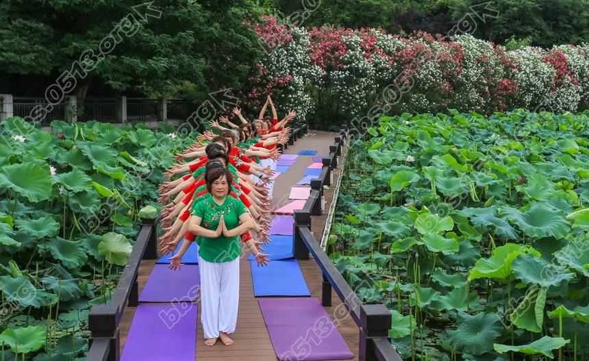 南通，清清荷塘秀瑜伽  (3).jpg
