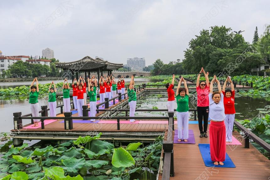 南通，清清荷塘秀瑜伽  (5).jpg